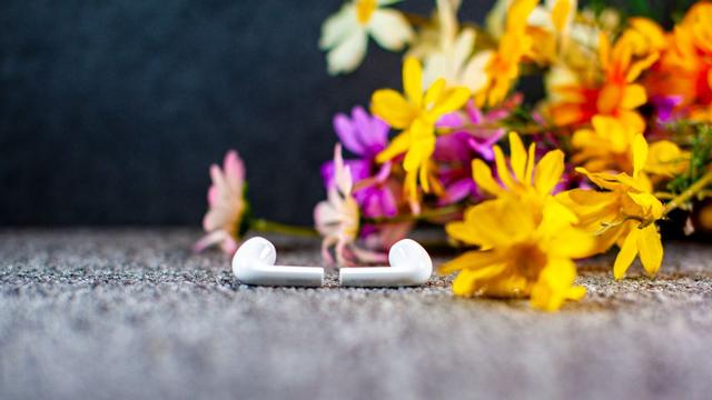 綠聯(lián)小海豚耳機體驗：小身材大音質(zhì)，AirPods百元平替